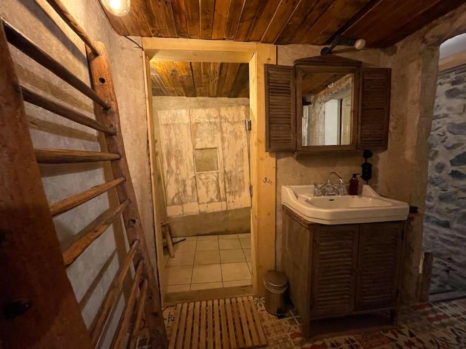 Maison Vigneron - Maison Et Studio Saint-Didier-sur-Beaujeu Eksteriør bilde